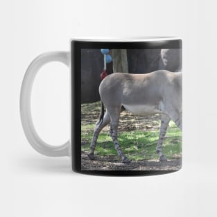Somali Wild Donkey Mug